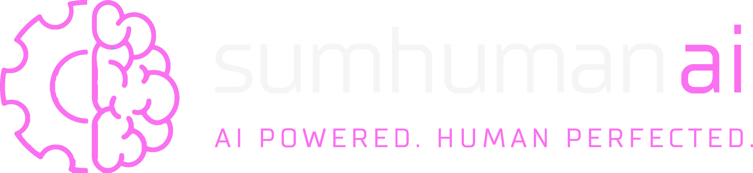 Sumhuman AI